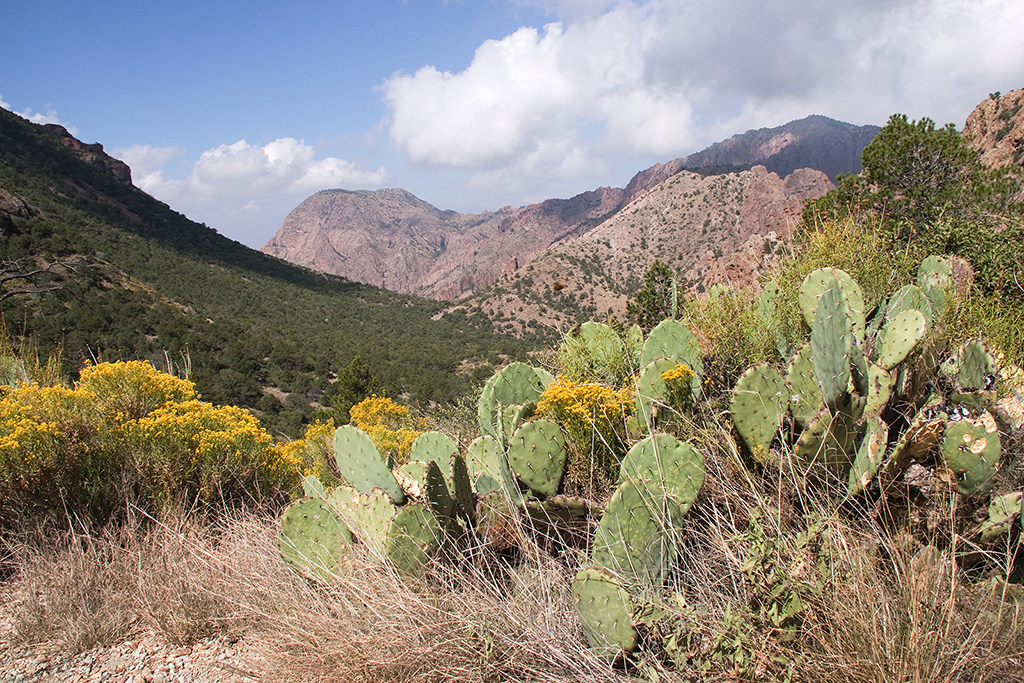 27_Big Bend National Park_13.jpg